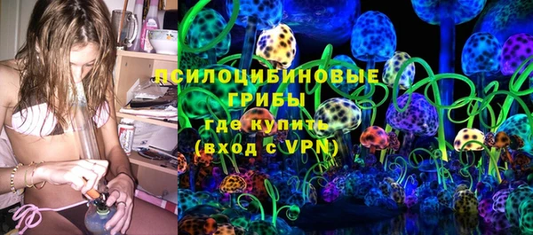 ГАЛЛЮЦИНОГЕННЫЕ ГРИБЫ Армянск